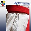 Karategi Kata Deluxe Evo Combo Set - Premier League - rosso - blu