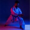 Gara di karategi Punok WKF VERTEX