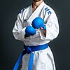Tokaido Kumite Master K1 - Premiere League - blu