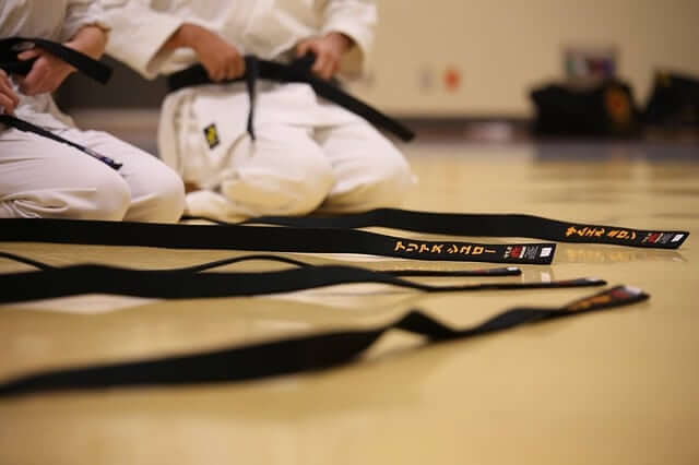 Karate-gi