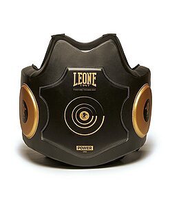 Cintura addominale Leone