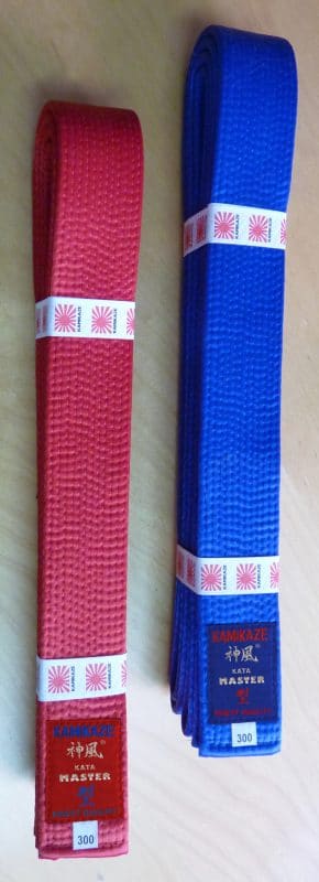 Karate-gi