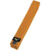 Cinture colorate RB - Mizuno - immagine 5