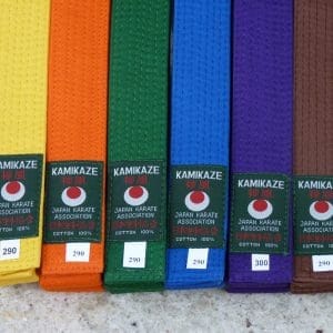 Cinture colorate del karate