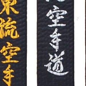 Cinture da karate