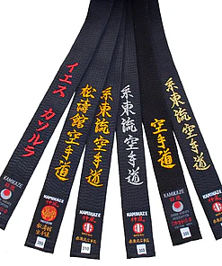 cintura-nero-kamikaze-satin-o-cotone-fan-broderies-style-labels-karate
