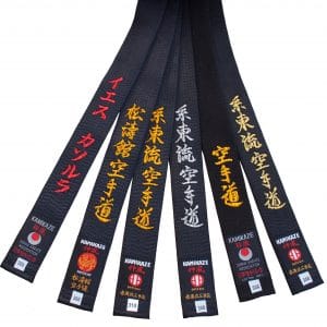 Cinture nere di karate