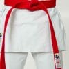 cinture da competizione-seishin-international-wkf-cotone-rosso