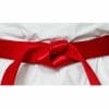 cinture da competizione-seishin-international-wkf-red-satin