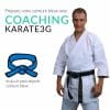 Corsi online di karate cintura blu PACCHETTO OBIETTIVI Karate3G™ 5 coaching-karate3g-blue-belt-karate-training-in-video