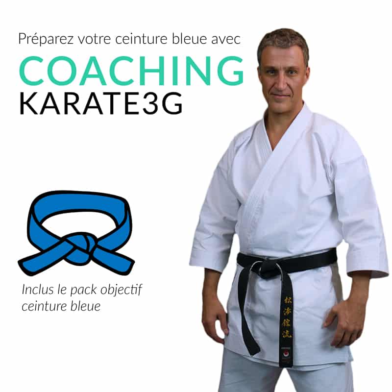 Corsi online di karate cintura blu PACCHETTO OBIETTIVI Karate3G™ 4 coaching-karate3g-blue-belt-karate-training-in-video