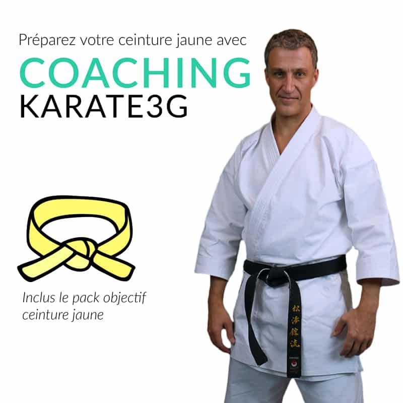 Corsi online di karate cintura gialla PACK OBIETTIVO Karate3G™ 4 coaching-karate3g-yellow-belt-karate-training-video