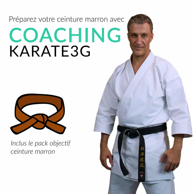 Corso online di karate cintura marrone PACK OBIETTIVO Karate3G™ 4 coaching-karate3g-brown-belt-karate-training-in-video