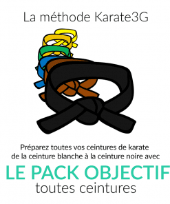 Lezioni online di karate da cintura bianca a nera OBIETTIVO PACK Karate3G video