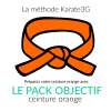 Lezioni di Karate online Cintura Arancione PACCO OBIETTIVO Karate3G video