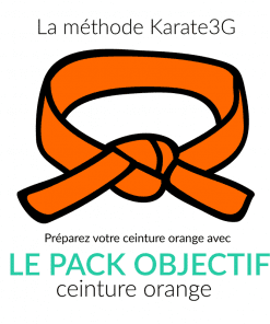 Lezioni di Karate online Cintura Arancione PACCO OBIETTIVO Karate3G video