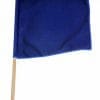 arbitro-bandiera blu