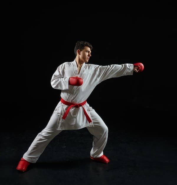 Karate-gi
