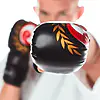 guanti da combattimento-seishin