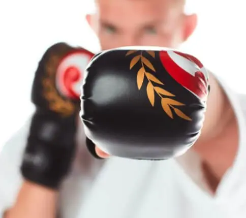 guanti da combattimento-seishin