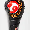 guanti da combattimento-seishin,