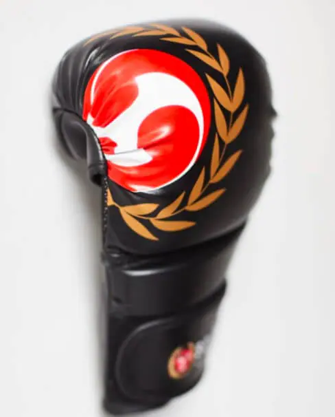 guanti da combattimento-seishin,