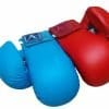 Guanti da karate ARAWAZA blu o rossi - stile WKF