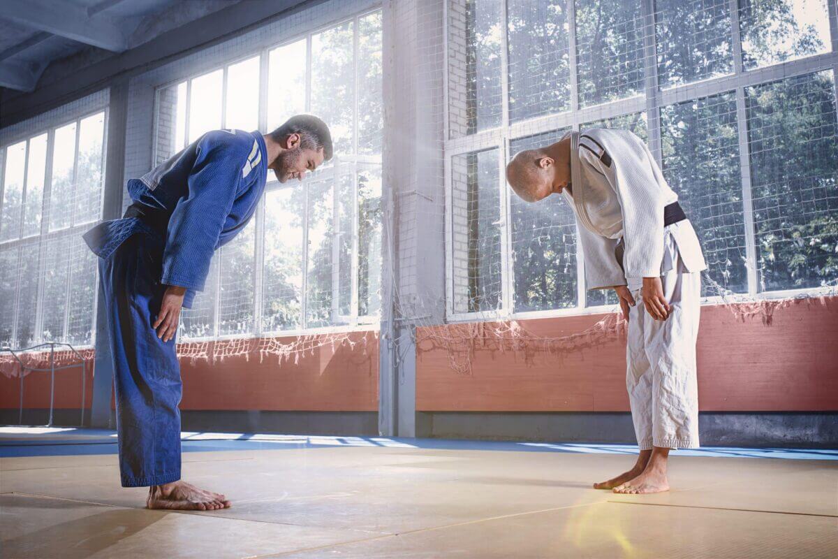 Karate-gi