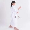 Karate-Gi