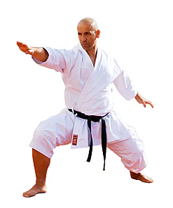 karategi