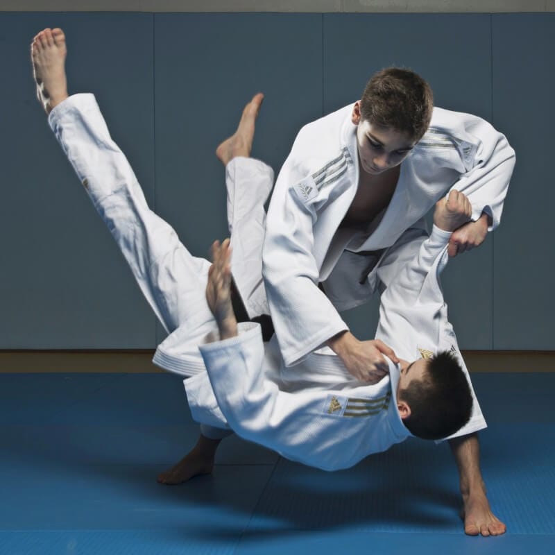 Karate-gi
