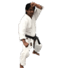 karategi