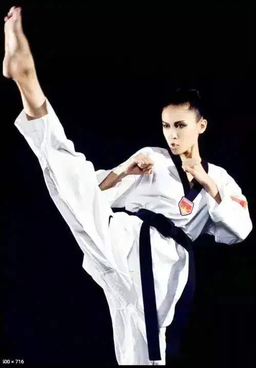 Karate-gi