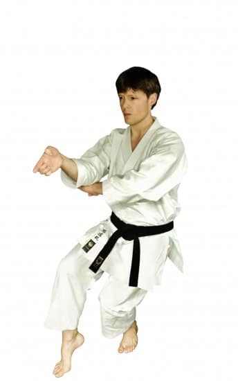 Karate-gi
