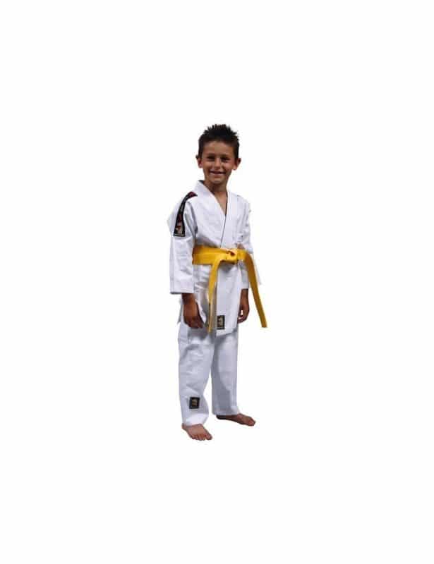 Karate-gi