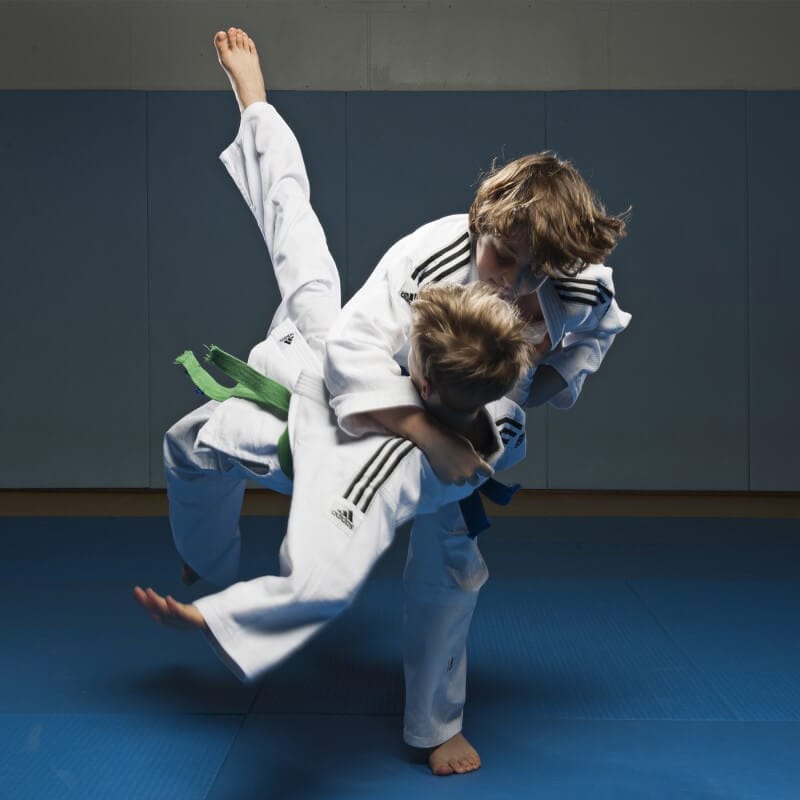 Karate-gi