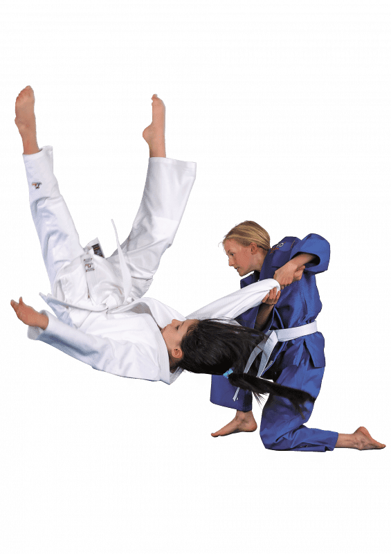 Karate-gi