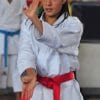 karategi