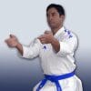 Arawaza AMBER Evolution Premiere League - Approvato dalla WKF 6 karategi