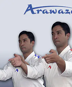 karategi