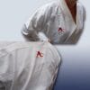 Karate-Gi