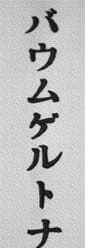 Karate-gi