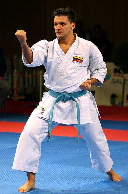 Karate-gi
