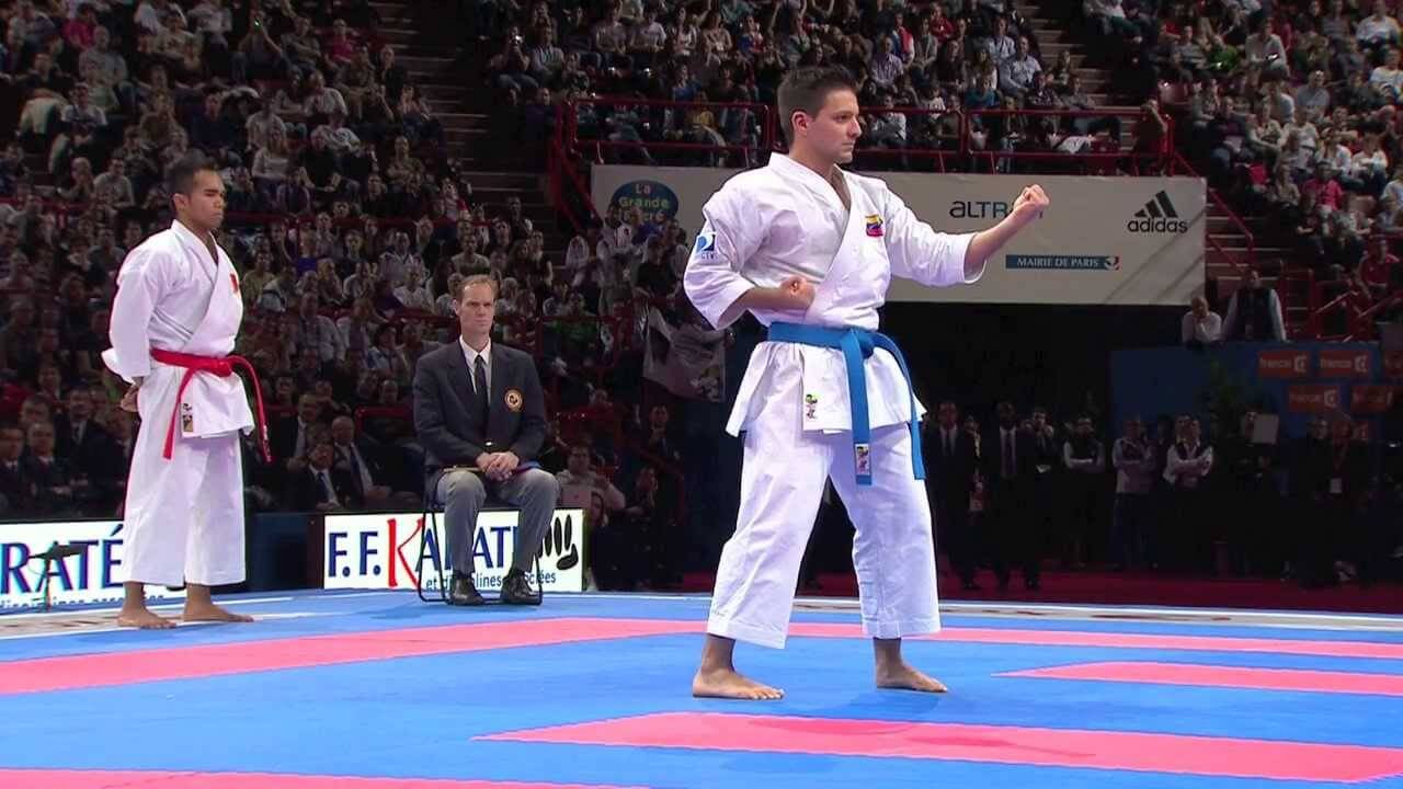 Karate-gi