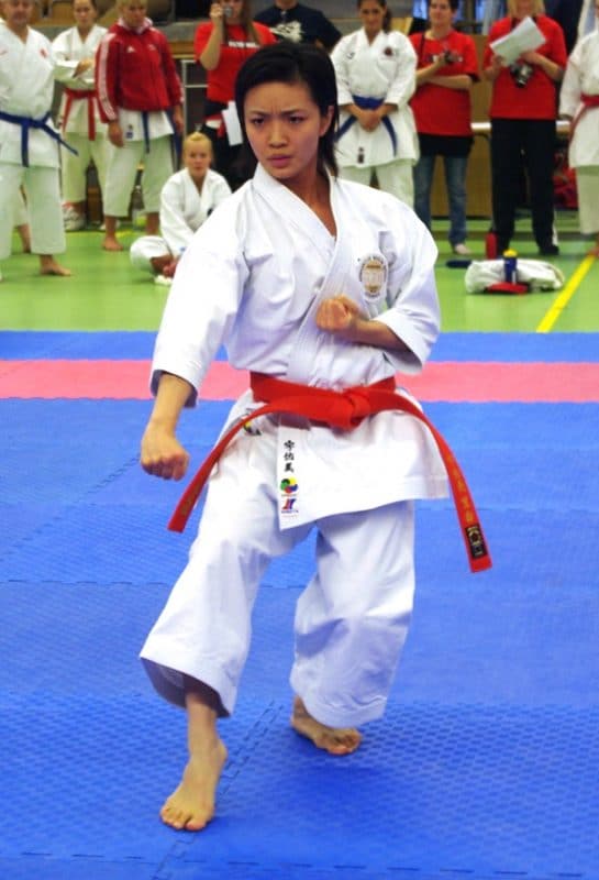 Karate-gi