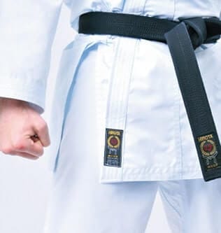 Karate-gi