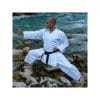 Karate-Gi