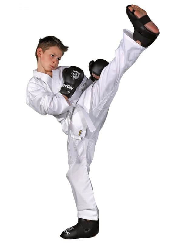 Karate-gi