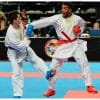 Karategi Waza - APPROVATO DALLA WKF 9 karategi