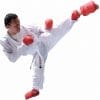 Karategi Waza - APPROVATO DALLA WKF 10 karategi